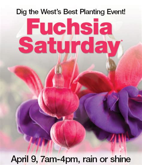 fuchsia saturday 2024 fred meyer|fred meyer fuchsia days 2024.